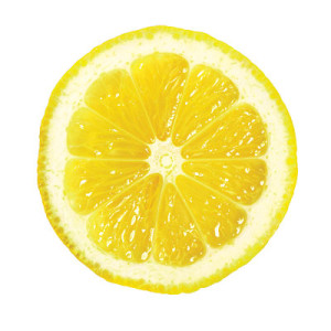 1003p48-lemon-slice-l