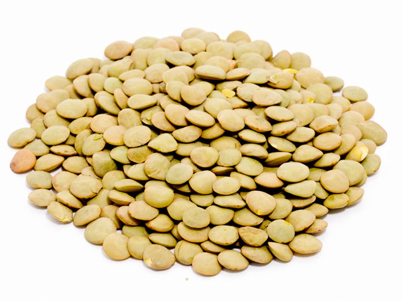 product_pulses_lentils_green_lentils_laird_large