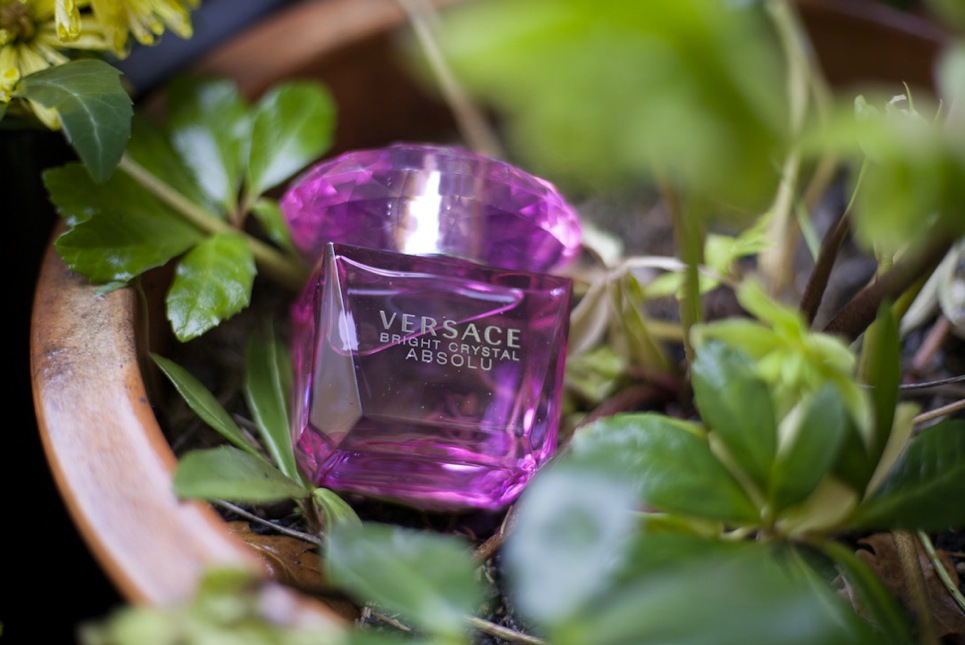 Versaces Bright Crystal Absolou innehåller julros, pion, yuzu och magnolia
