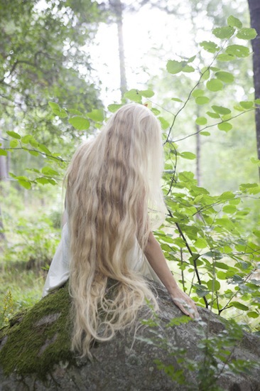 Ett långt hår. Dock inte mitt!  Foto: Aquis