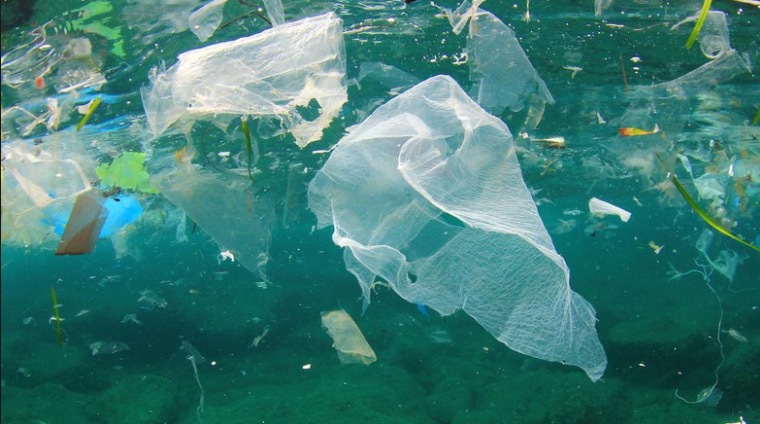 Plast bryts ner långsamt och är en av vår tids största miljöproblem