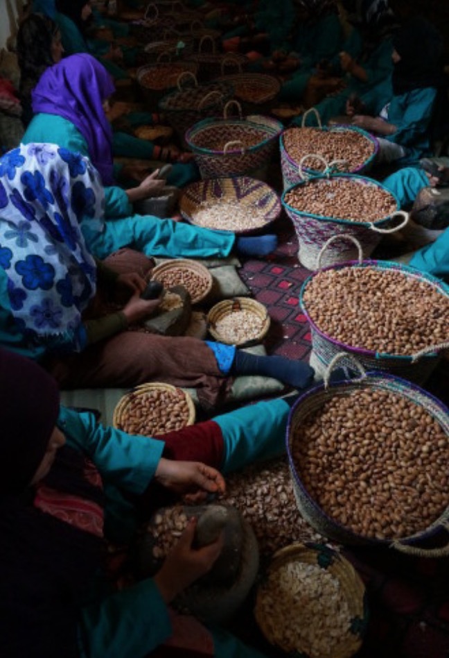 Världens mest kända kvinnokoorperativ i Marocko har ensamrätt på arganproduktionen i landet