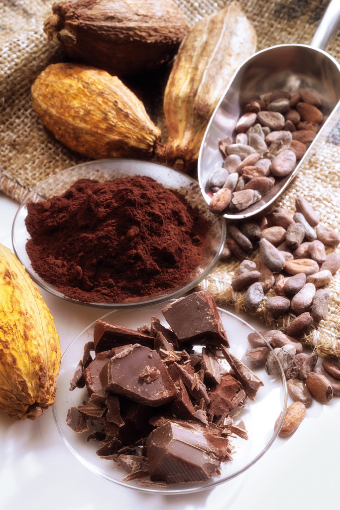 Cocoa Pods and Chocolate Product